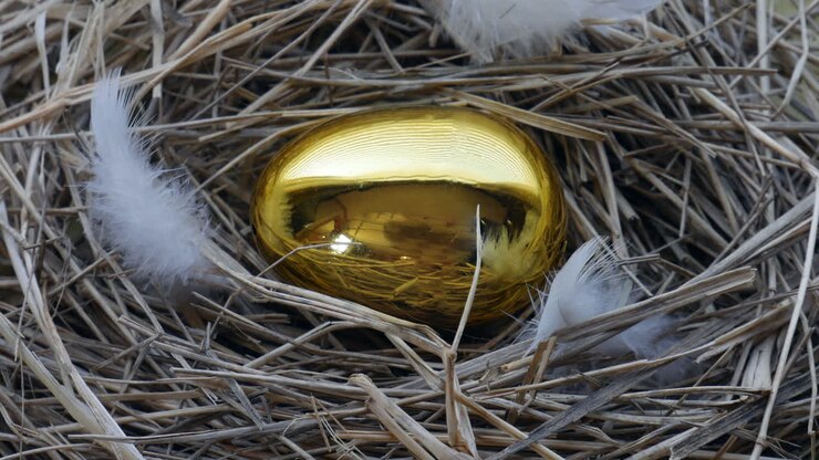Golden goose egg in bird's nest static
