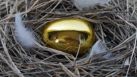 golden goose egg in bird's nest static