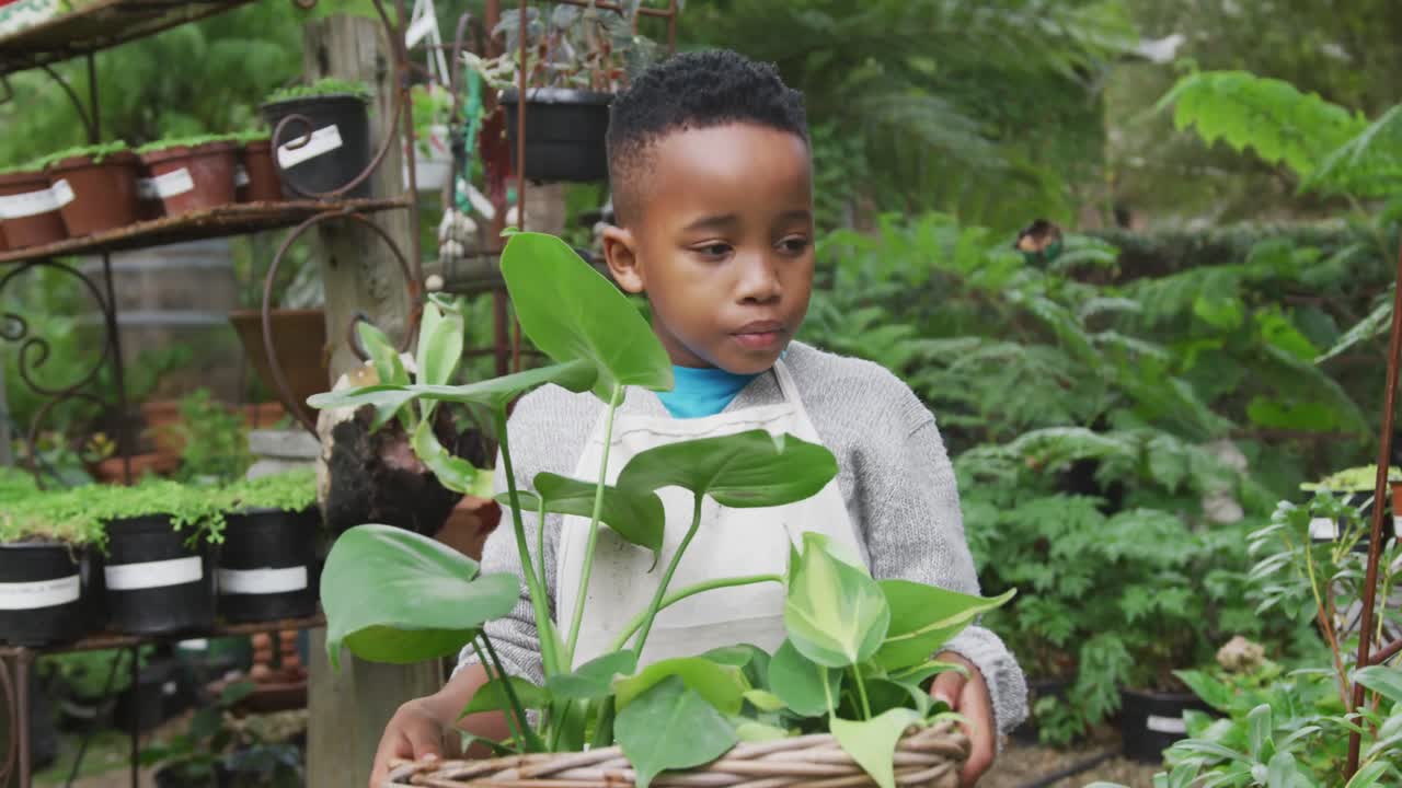 feliz niño afroamericano sosteniendo plantas en el jardín