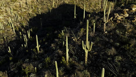 dramatic drone footage looking down on shadows on sonoran desert