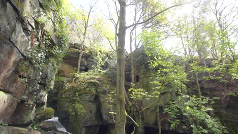 wide tilting up shot of the lumsdale waterfalls with rocks and trees in foreground at lumsdale, matlock