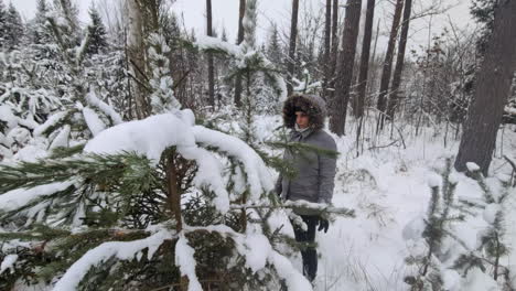 Wunderschöne-Aufnahme-Einer-Person-In-Einem-Winterwald-Mit-Schneebedeckten-Kiefern