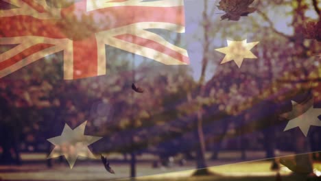 Animation-of-australian-flag-and-leaves-falling