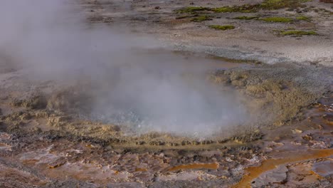 Actively-Bubbling-Geyser-in-Yellowstone,-Wyoming