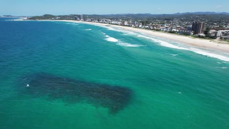 arrecife de la playa de palma - costa de oro - queensland qld - australia - disparo de avión no tripulado
