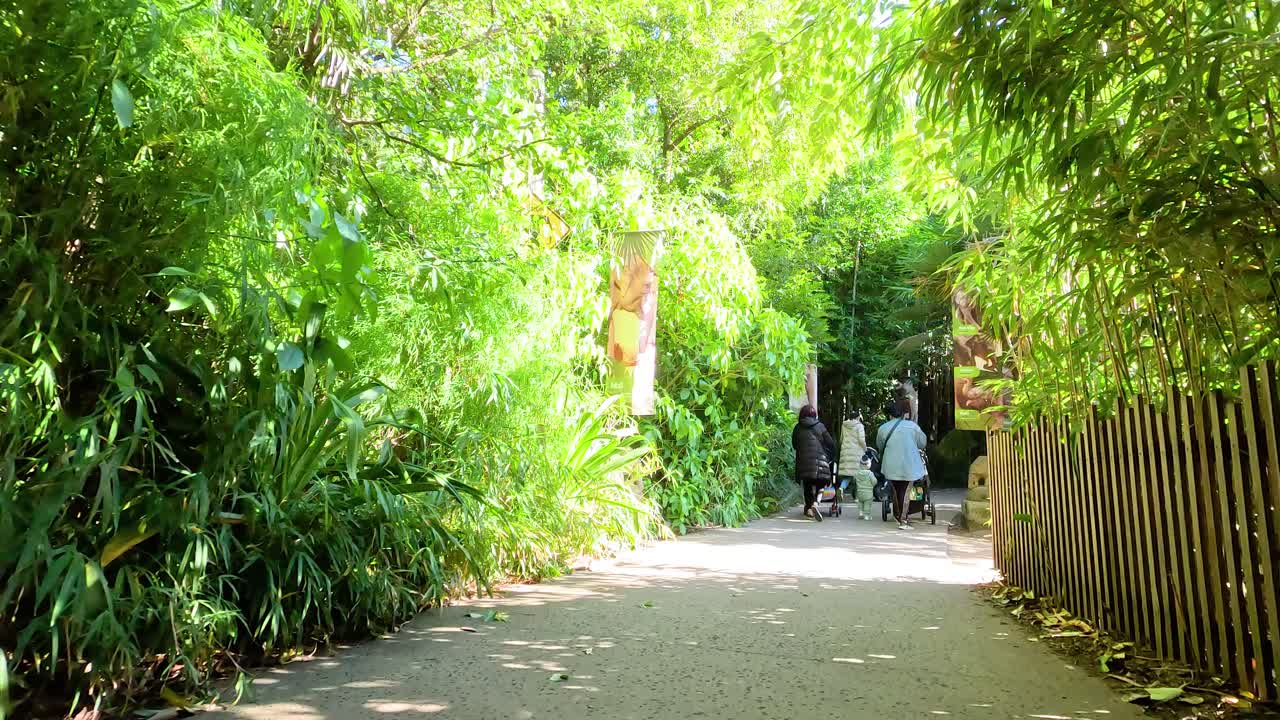 los visitantes exploran la exuberante vegetación en el zoológico de melbourne