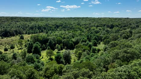 An-aerial-view-of-the-beautiful-green-forests-of-northern-Pennsylvania-in-the-Appalachian-foothills