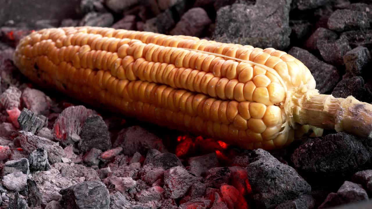 Sweet corn Grill , sweet corn cooking on charcoal, ripe corn cobs grilled sweetcorn for food vegan dinner or snack, street food in India
