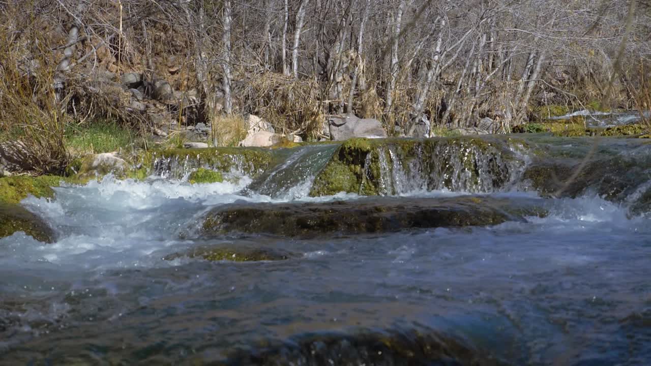 L'acqua del fiume scorre a valle su massi e piccole cascate. Il fiume è circondato da alberi spogli e secchi su entrambe le sponde.