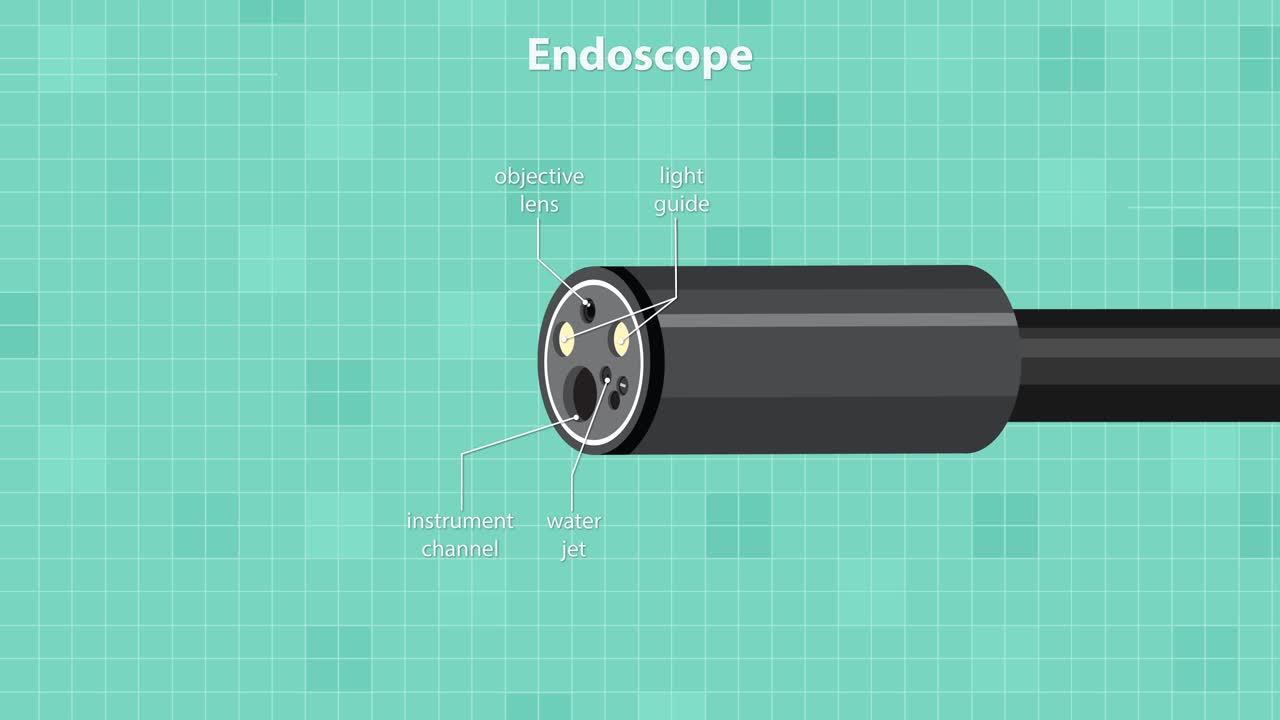 Medical animation reveals endoscope tip structure, labels components, and demonstrates instrument channel deployment