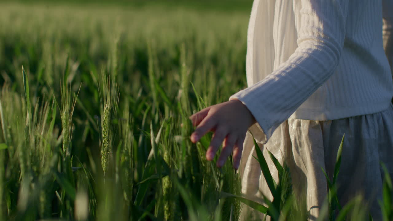 Child in a Wheat Field