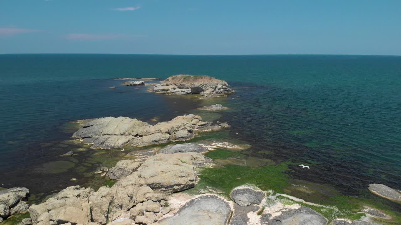 Аэросъемка дроном: большие скалы в море с растительностью и птицами