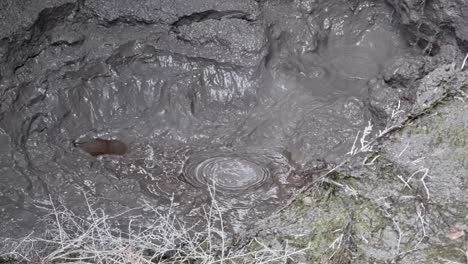 Naturally-occurring-Bubbling-mud-in-Rotorua-New-Zealand