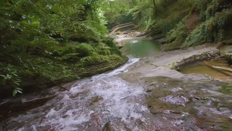 una cascada panorámica en un bosque exuberante