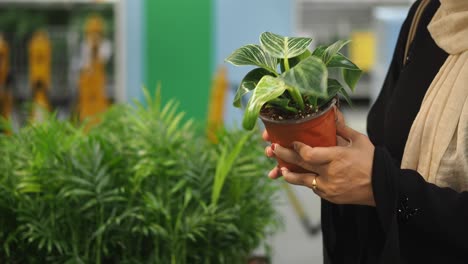 close-up of a person holding a potted houseplant in a garden center