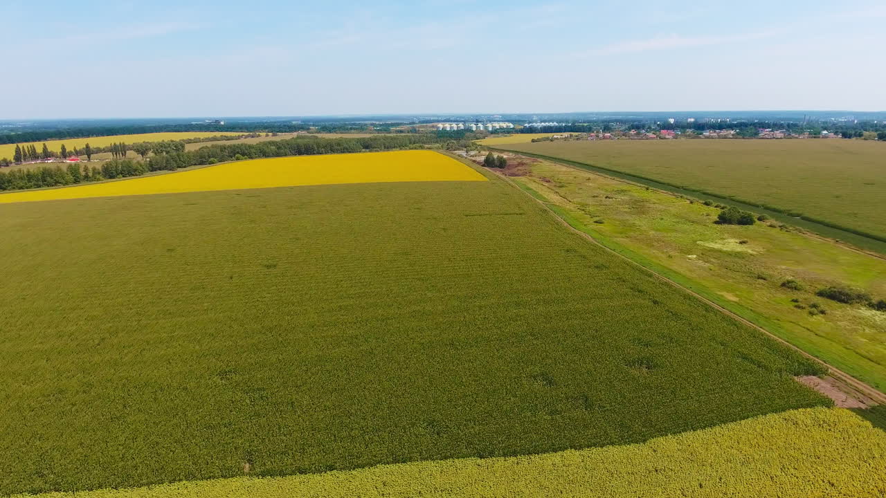 Roads going through agricultural plantations. Elevator plant, rural area and cityscape at the backdrop.