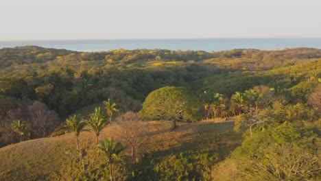 slow smooth fly over lush green hills towards the ocean