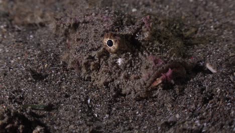 Indian-Walkman-close-up-shot-buried-in-volcanic-sand