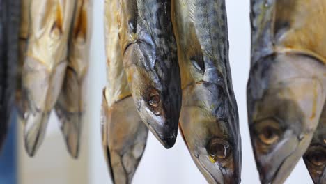 dried sardines