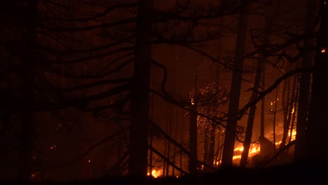 Incendios-Forestales-Arden-A-Través-Del-área-Del-Bosque