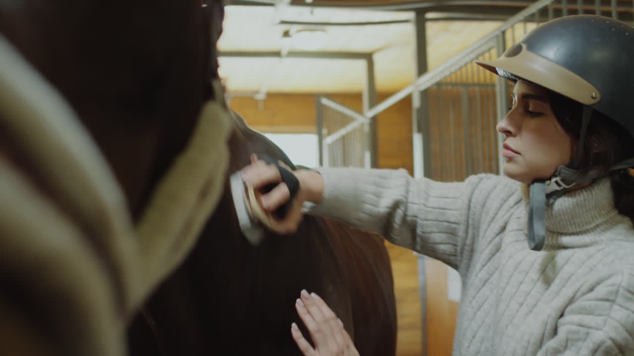 Women grooming and interacting with horses in a stable