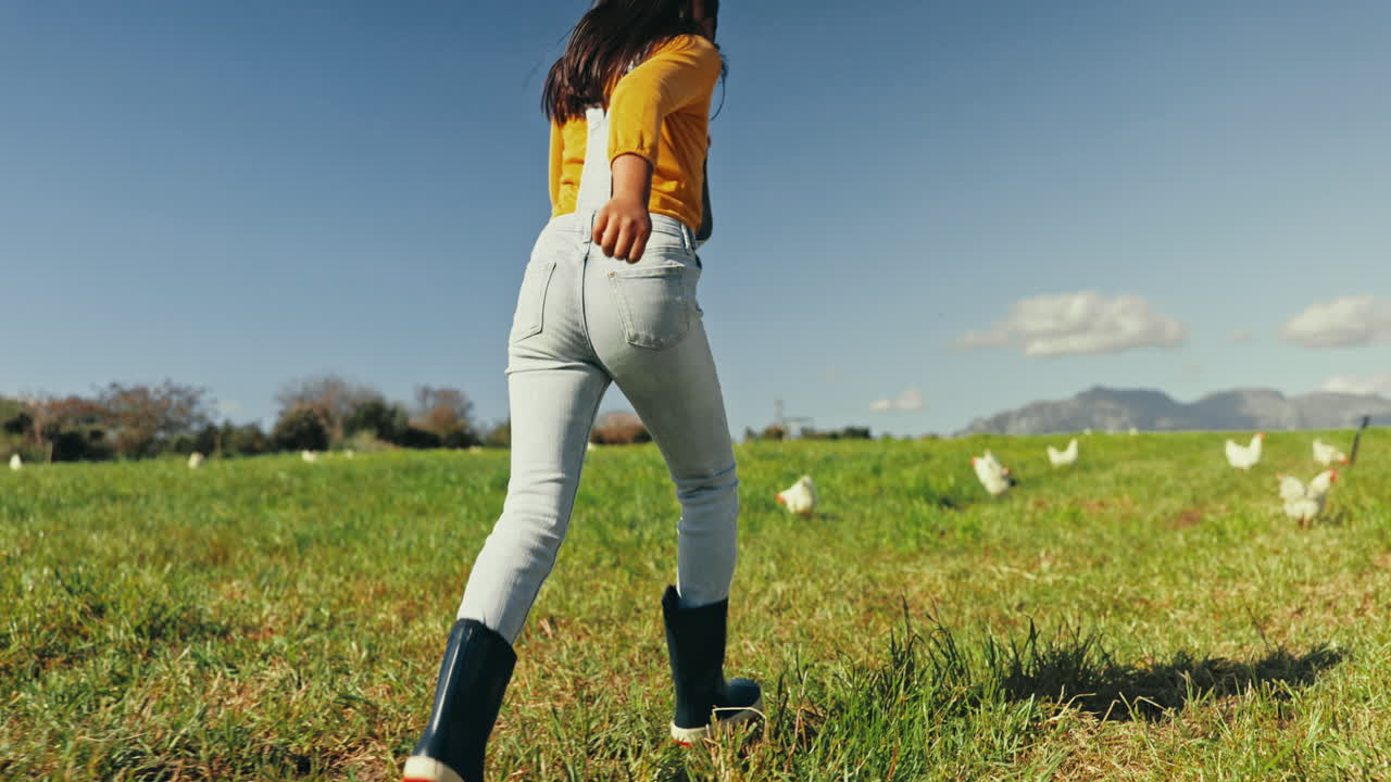 を飼う農場で走り回って子供と