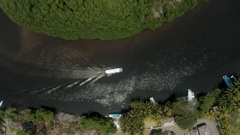 tourist boat sailing on the river in tropical rainforest of el paredon, guatemala - aerial top down