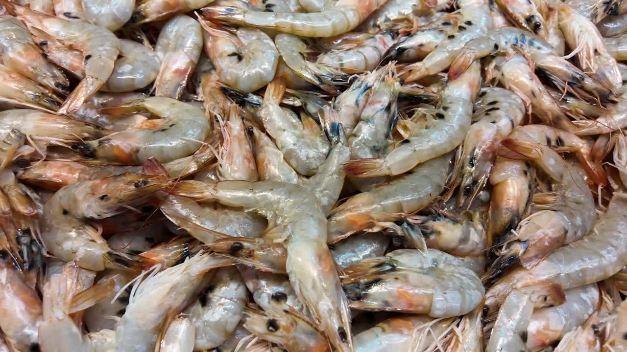 Pile of Shrimp