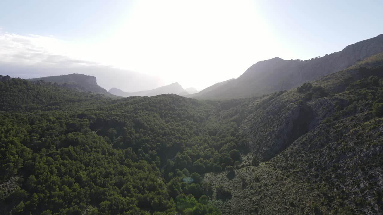 Witness the breathtaking beauty of Mallorca's Tramontana mountains, featuring lush greenery and dramatic hills under the warm glow of the setting sun. Ideal for nature lovers and adventurers.