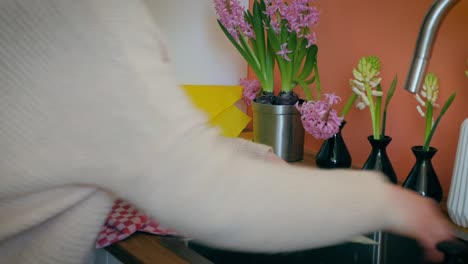 washing the pruning scissors