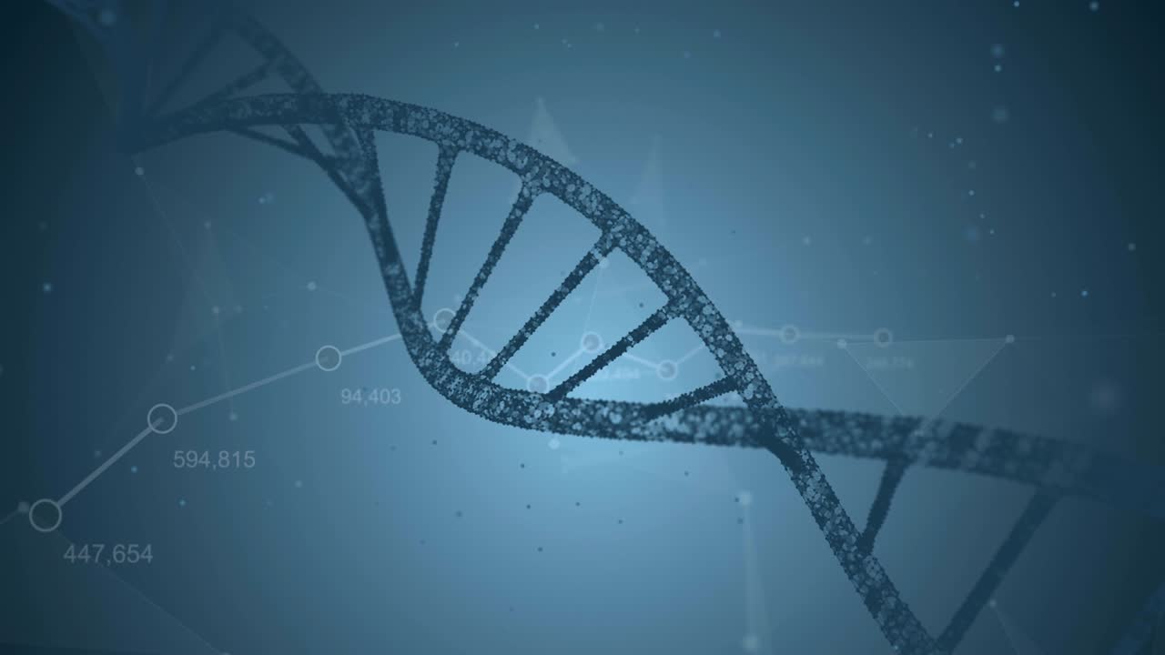 adn y plexo en un fondo azul. animación de bucle