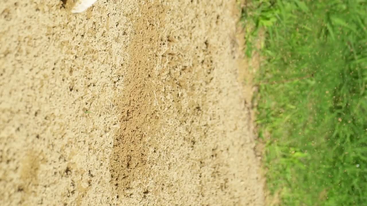 골프 공 던지기, 슬로우 모션으로 스윙에서 흙 걷어차기