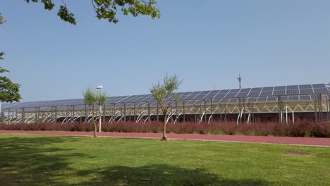 the solar panels that make an entire sports center self-sufficient in electricity