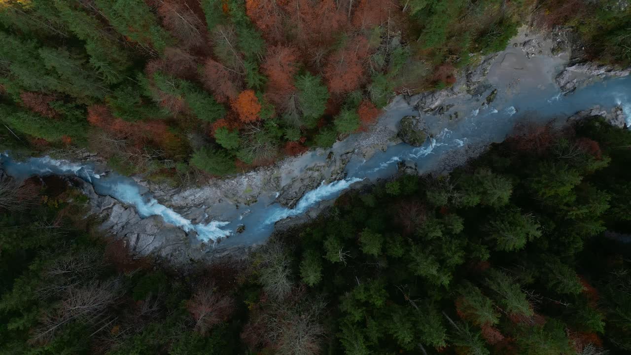 cañón de cascada de río de montaña idílico escénico con agua azul fresca en los alpes de baviera austria, fluyendo por un hermoso bosque a lo largo de árboles cerca de sylvenstein speicher y walchensee