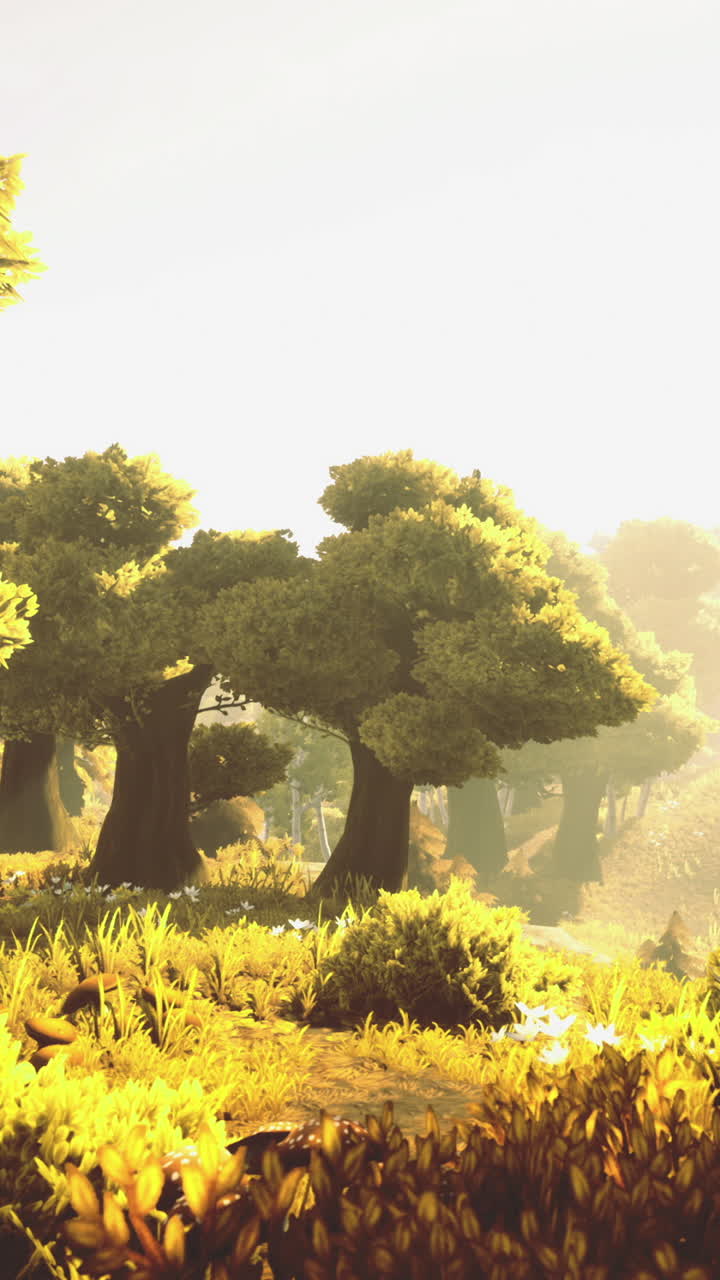 Golden light bathes a serene forest landscape during a peaceful sunrise