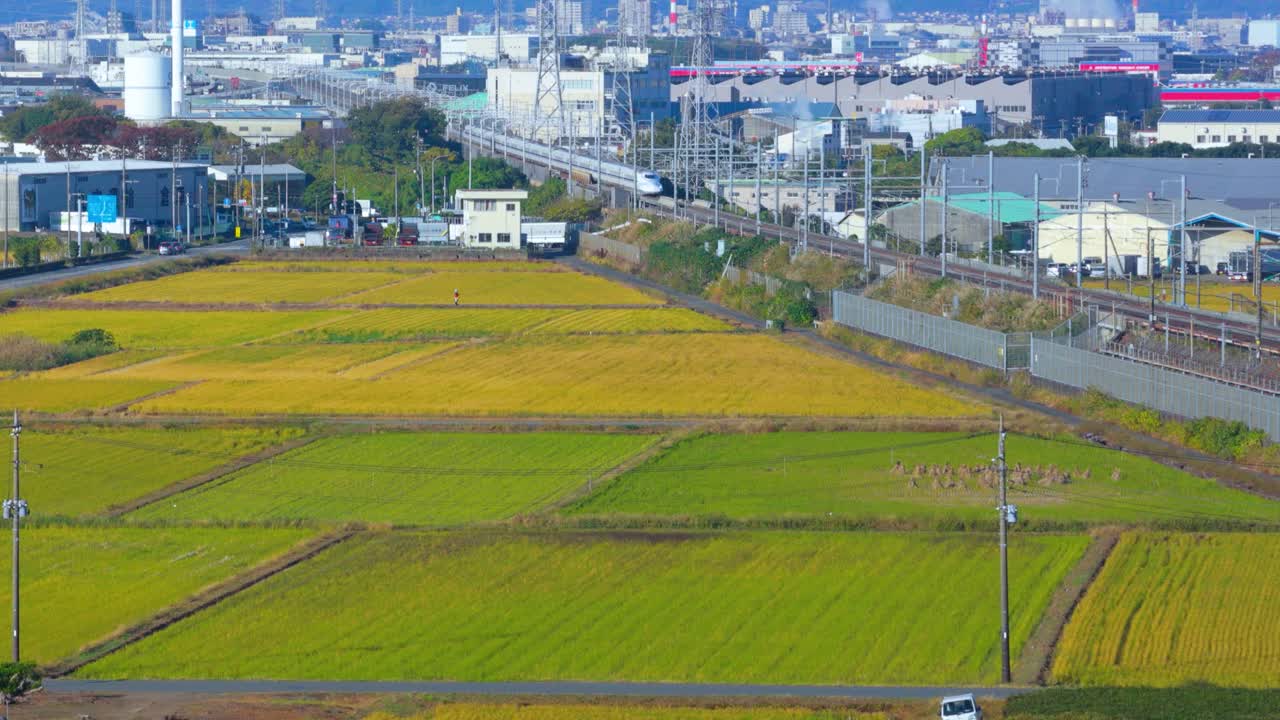 Bullet Train Departing Shin-Fuji Station Towards Rice Fields in Japan