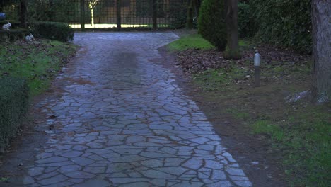 driveway of mansion