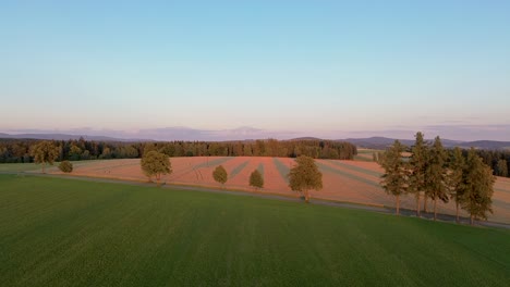 Timelapse-De-Vista-De-Drones-En-El-Que-La-Cámara-Se-Eleva-Sobre-El-Campo-Durante-La-Puesta-De-Sol