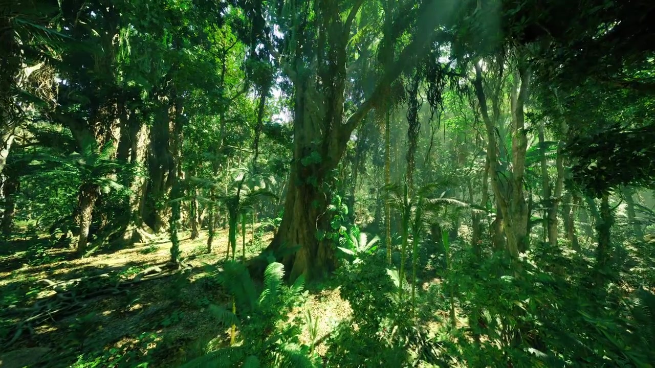 Phuket junglescene, livlig regnskovsscene med sollys og grønt