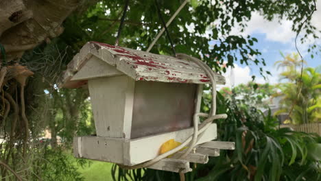 An-empty-birdbox-blowing-softly-in-the-wind-hanging-from-a-tree-in-a-park