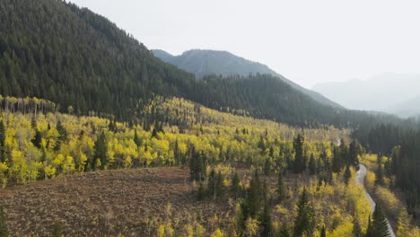 mountain escape to beautiful evergreen and aspen tree landscape, utah aerial drone