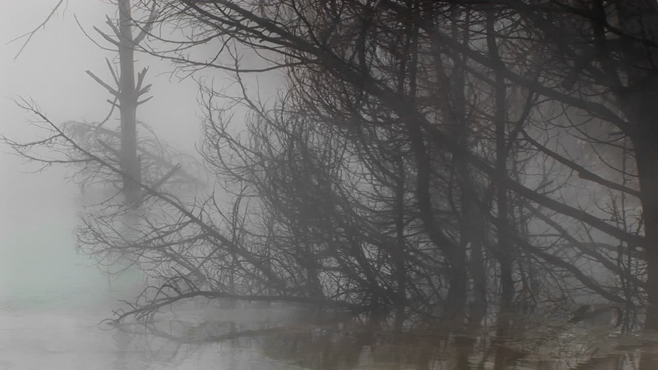 средний снимок пара, поднимающегося от гейзера