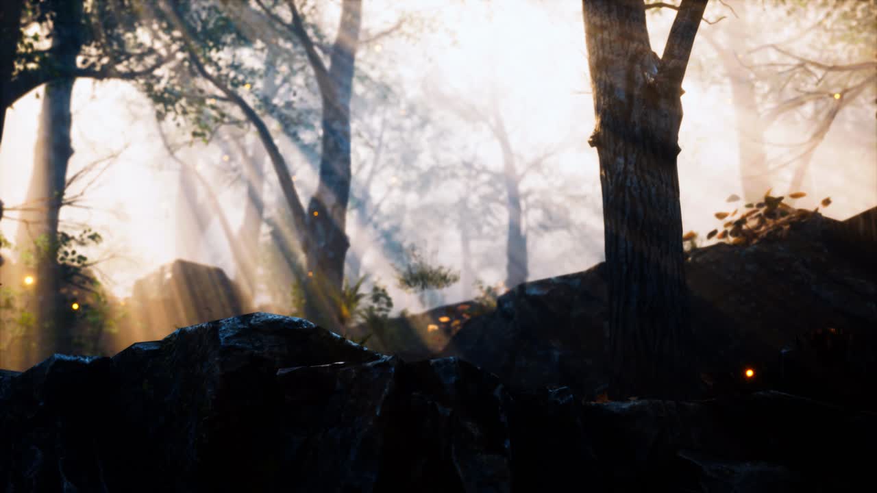 밝은 달빛으로 높은 곳에 있는 앞쪽