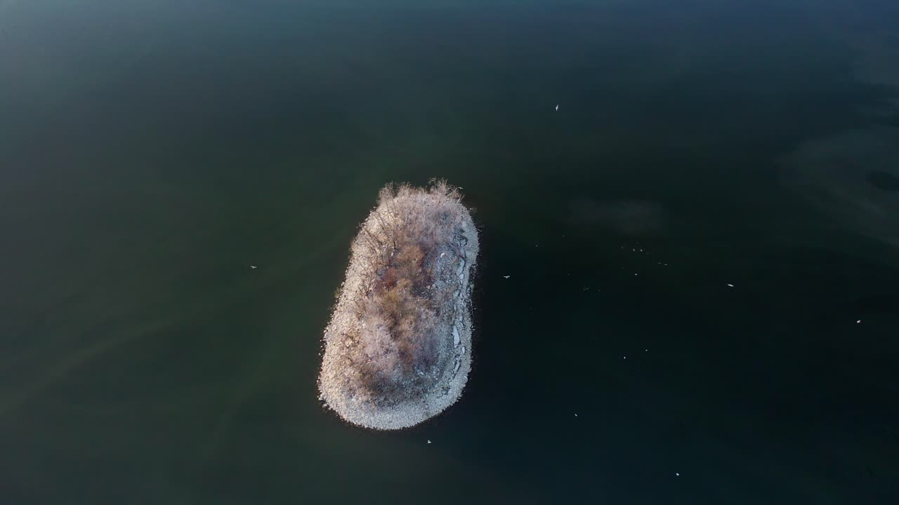 폴란드 남부의 듀나예크 강에 있는 르슈타인 호수의 조용한 물 속에서 작은 섬 주위를 날아다니는 새들