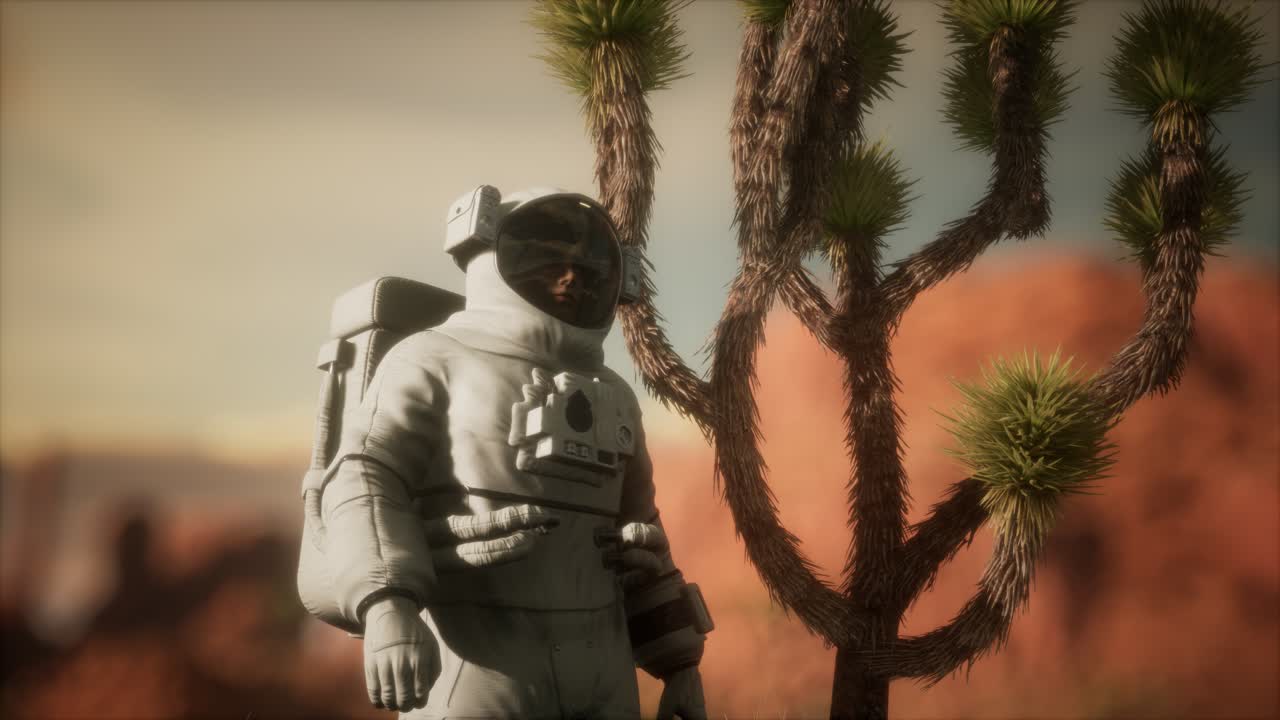 네바다의 높은 사막에 있는 우주 비행사