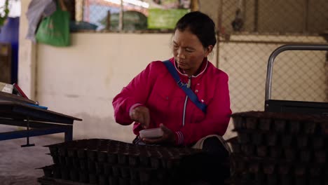 woman planting seeds in trays