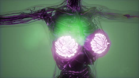 human body with visible glow mammary gland