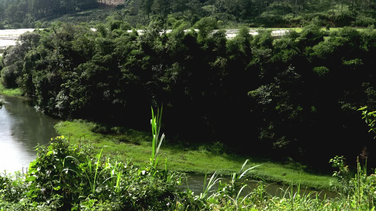 View of the River and the Trees in Lam Dong