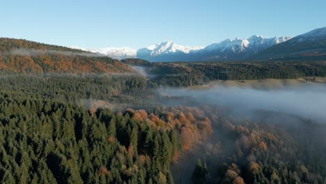 Exploring-Shot-Of-Piana-Del-Cansiglio-Green-Autumn-Forest-In-Foggy-Weather,-Dolomites