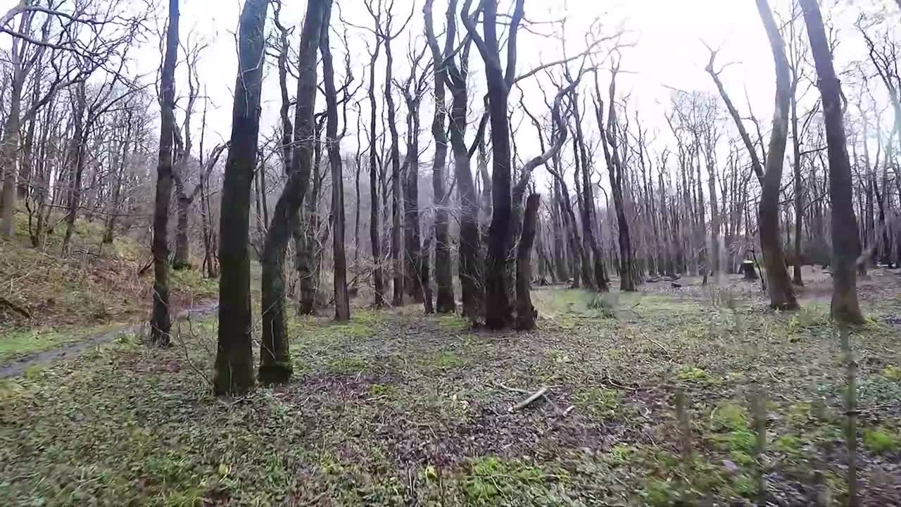 나무를 통해 이동